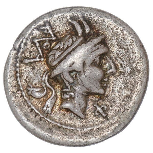 Lot 19