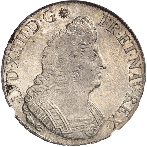 Lot 497