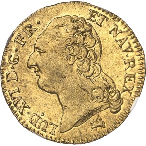Lot 503