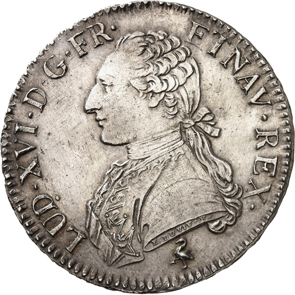Lot 504