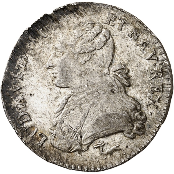 Lot 510