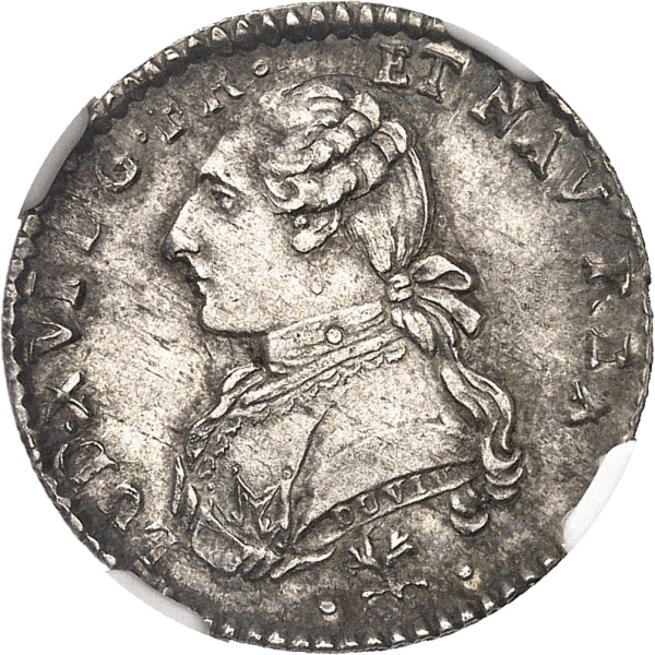 Lot 511