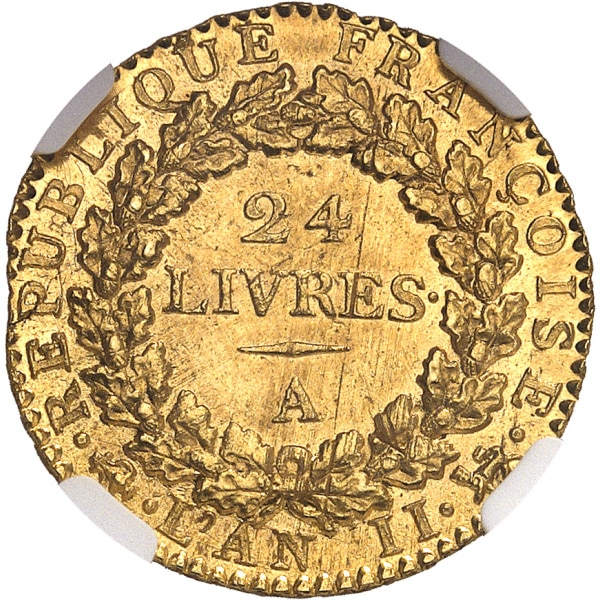 Lot 558