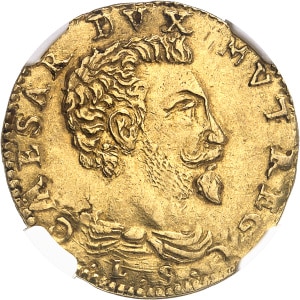 Lot 1007