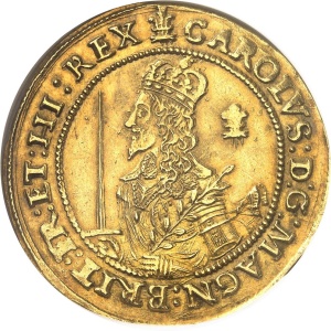 Lot 1019