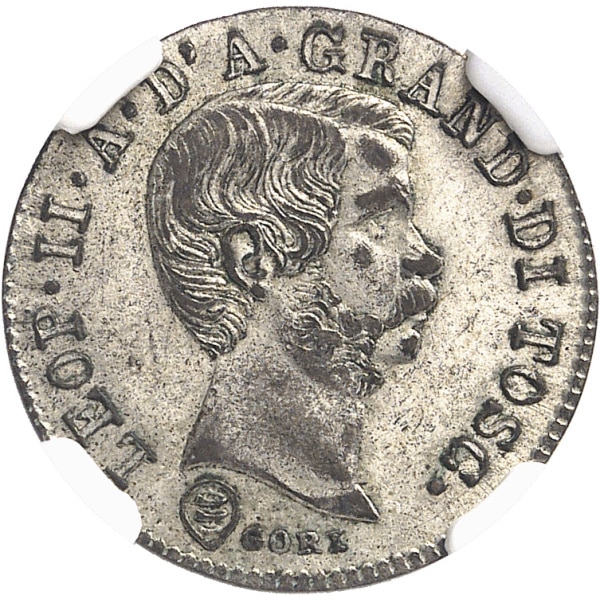 Lot 1037