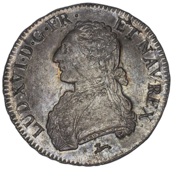 Lot 301