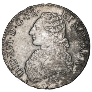 Lot 304