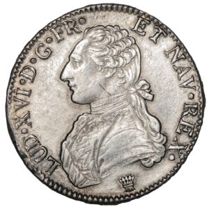 Lot 310