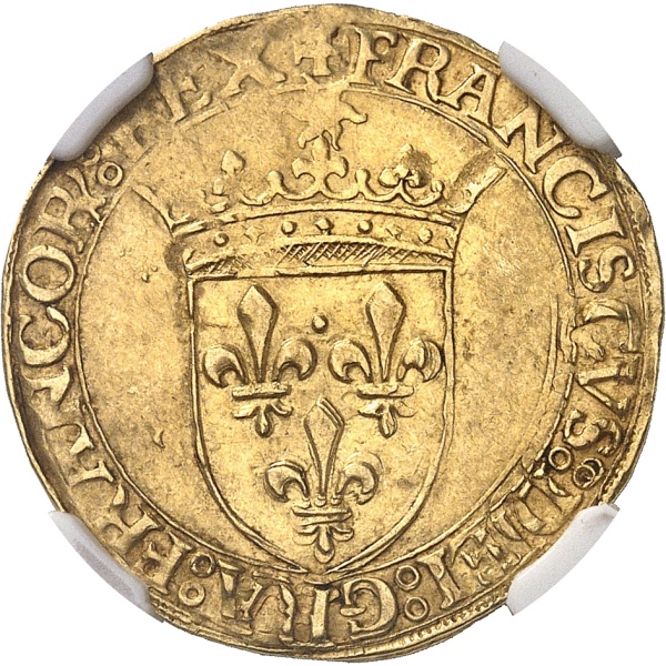 Lot 229
