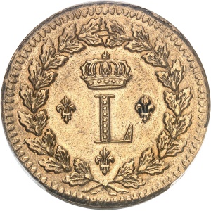 Lot 337