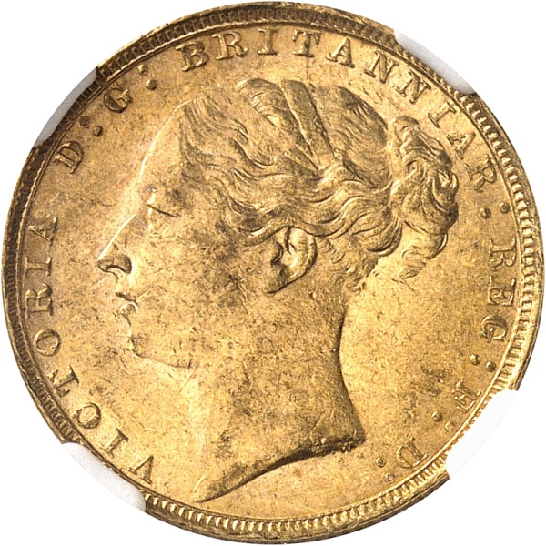 Lot 521