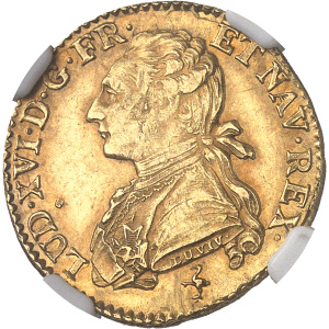 Lot 535