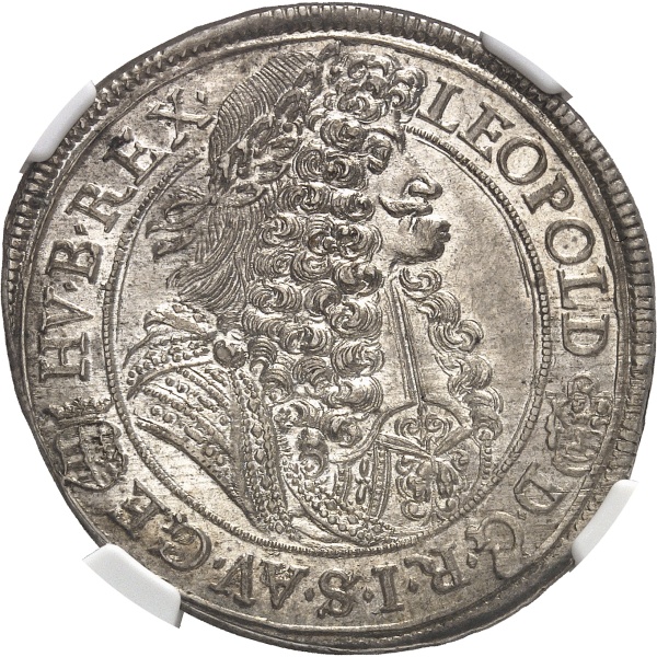 Lot 545
