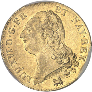 Lot 545
