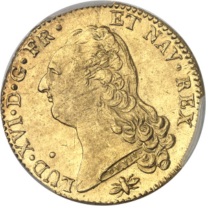 Lot 546