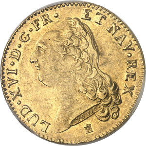 Lot 555