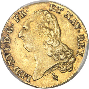 Lot 556