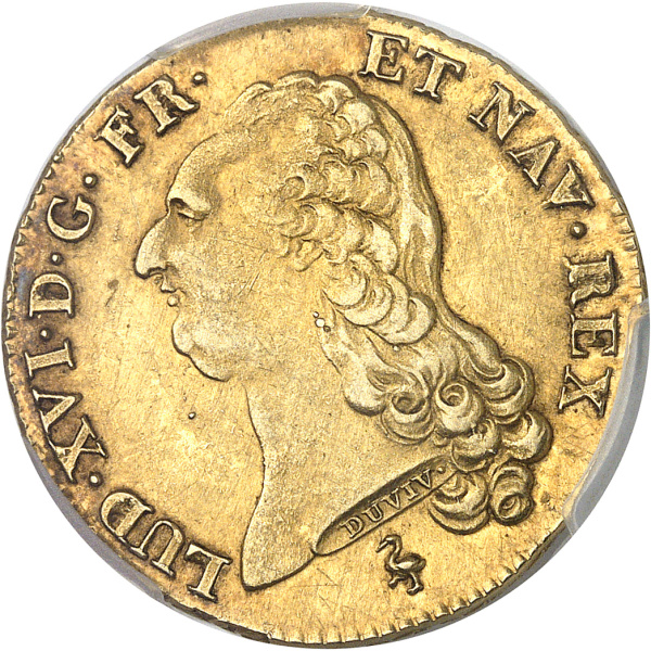 Lot 556