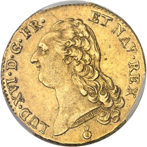 Lot 557