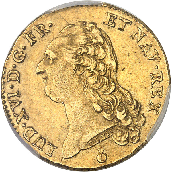 Lot 557