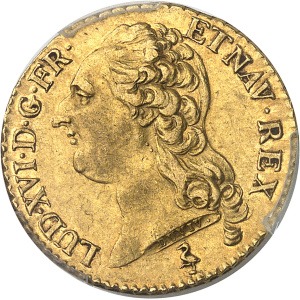 Lot 570