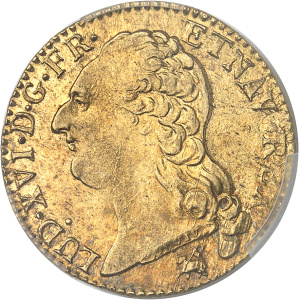 Lot 576