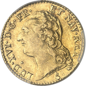 Lot 584