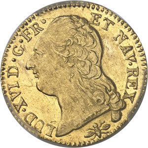 Lot 585