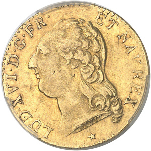 Lot 597