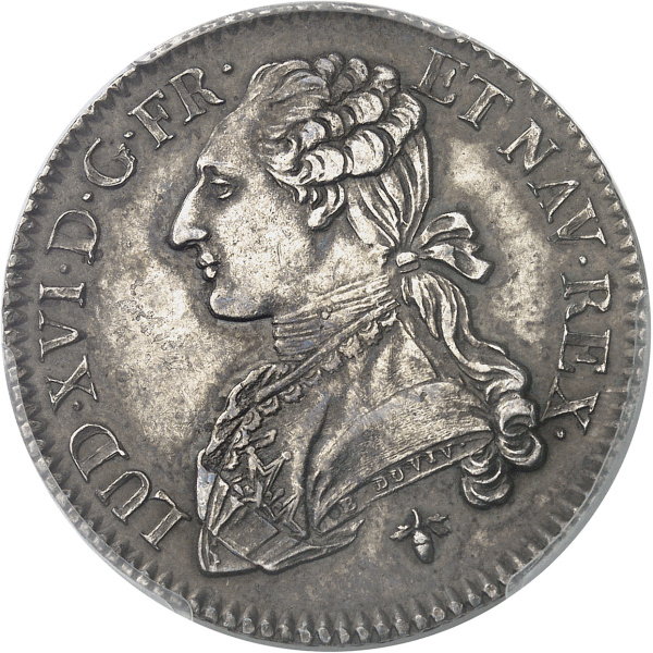 Lot 629