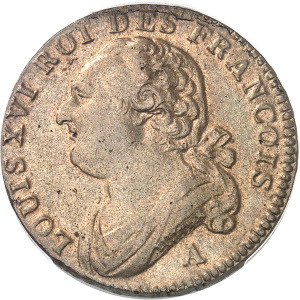 Lot 713