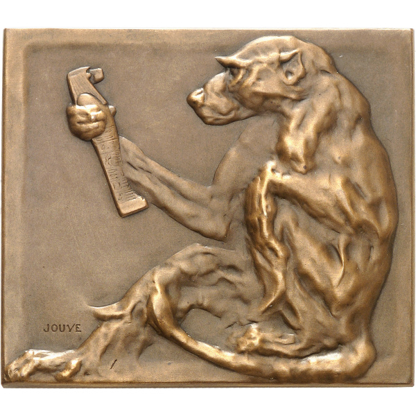 Lot 955