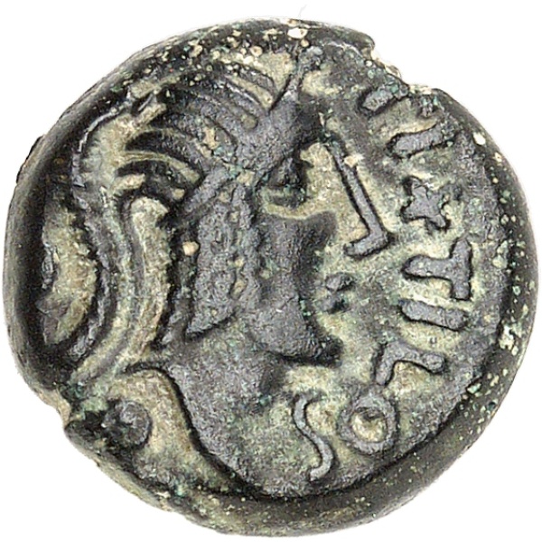 Lot 223