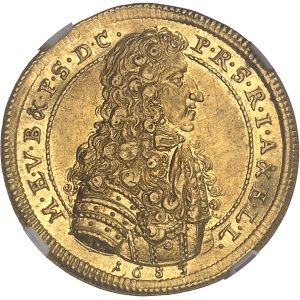 Lot 461