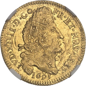 Lot 846
