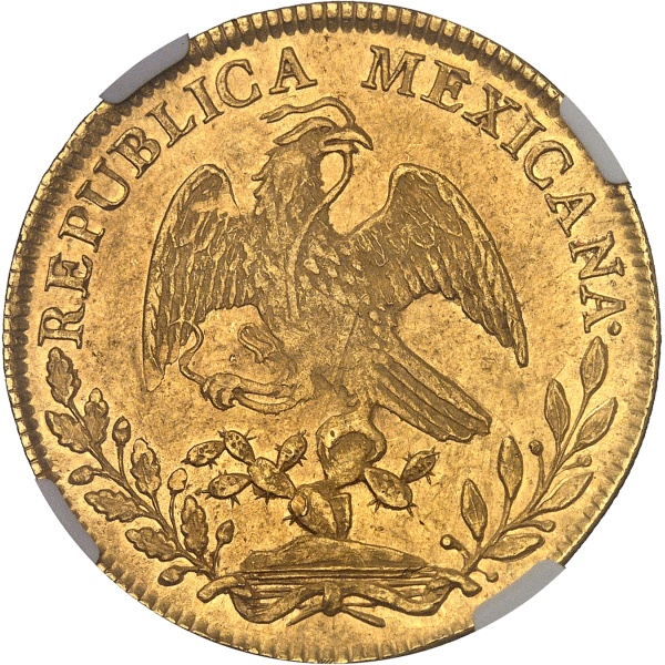 Lot 1491