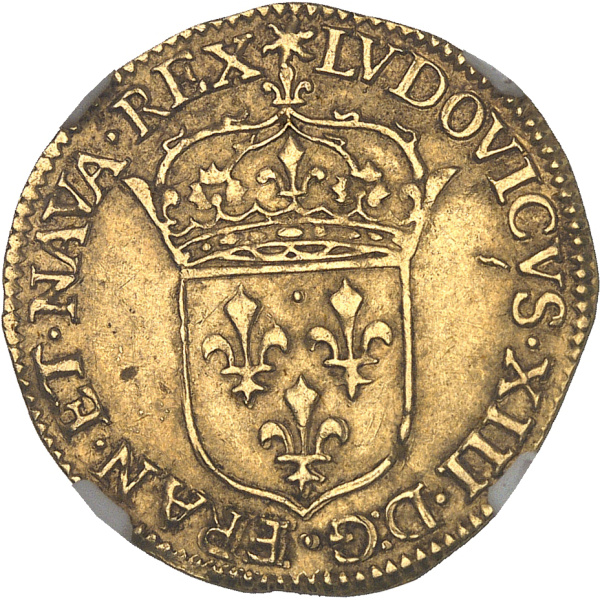 Lot 1557