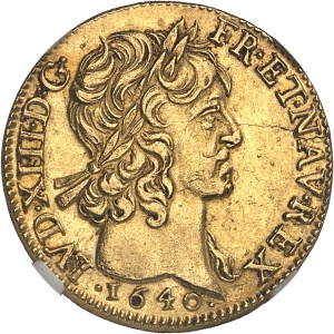 Lot 1564