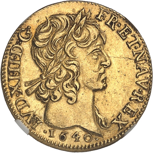 Lot 1564