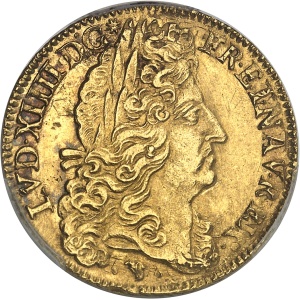 Lot 1621
