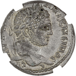 Lot 72