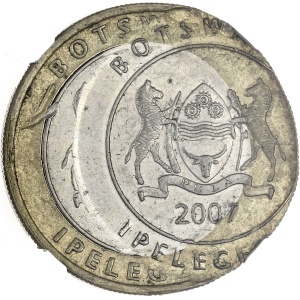Lot 181