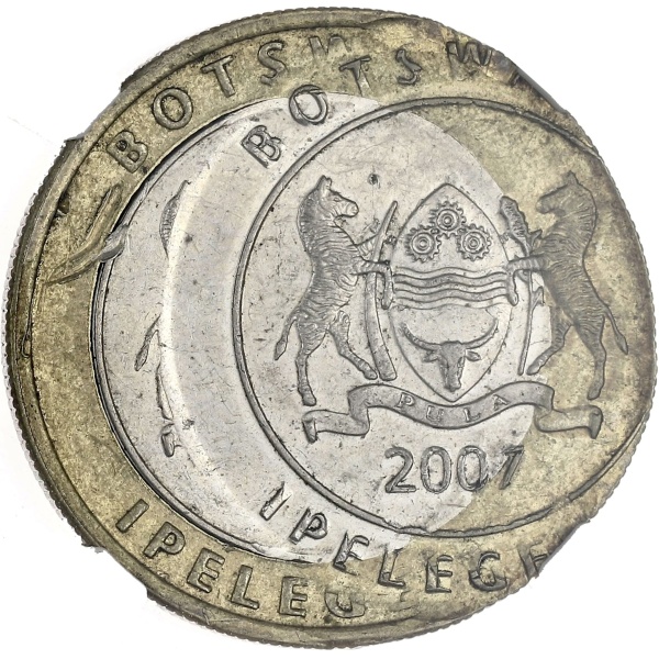 Lot 181