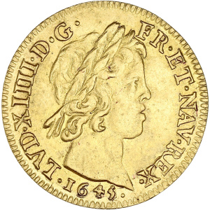 Lot 343