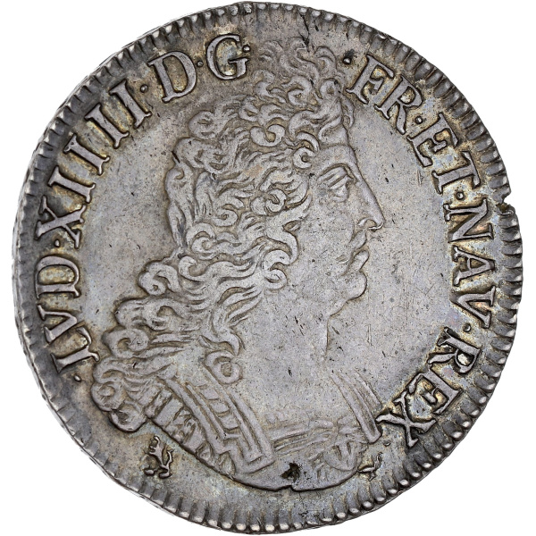 Lot 517