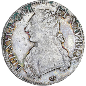 Lot 737