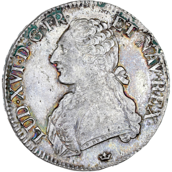 Lot 737