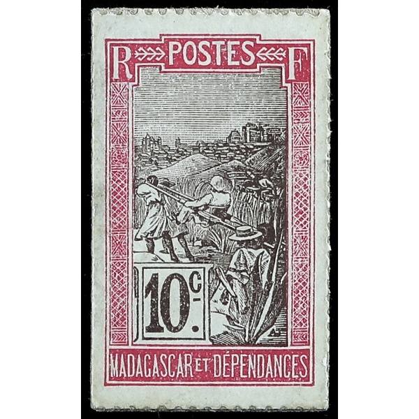 Lot 1978