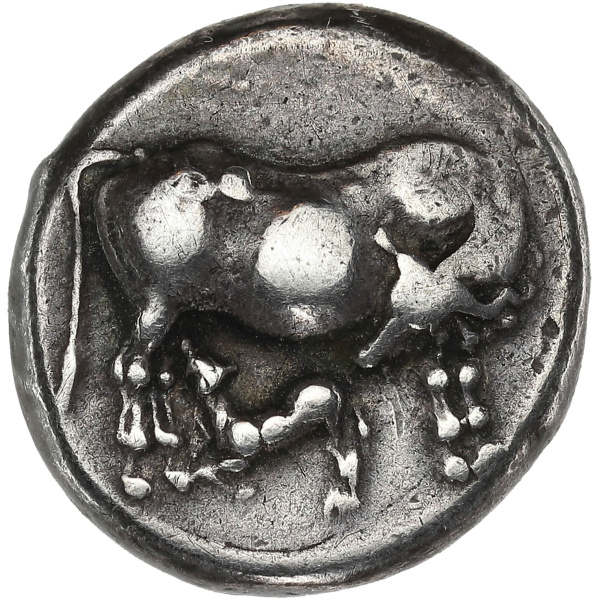 Lot 7